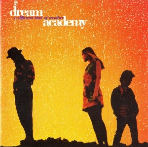 [수입] The Dream Academy - A Different Kind Of Weather